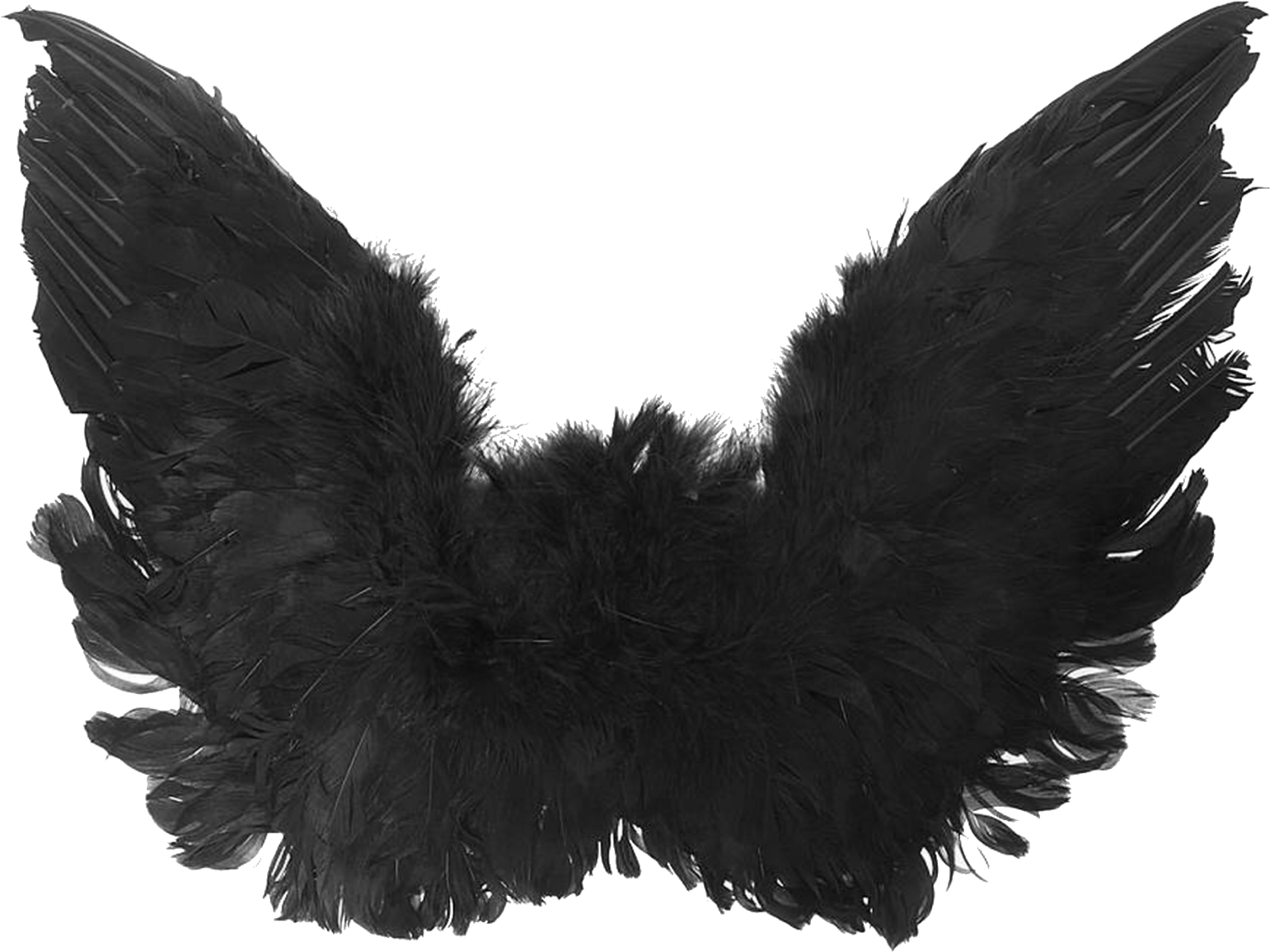 Accessory,fashion Accessory,fur,ear - Transparent Black Angel Wings, HD Png Download PNG with transparent background