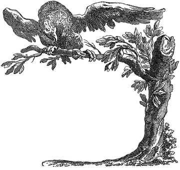 Dark Floral Corner Design PNG with transparent background