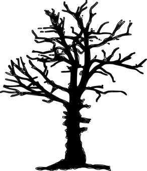 Dark Forest Pathway.jpg PNG with transparent background
