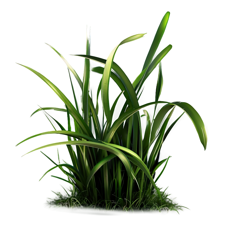 Dark Green Grass Png 04292024