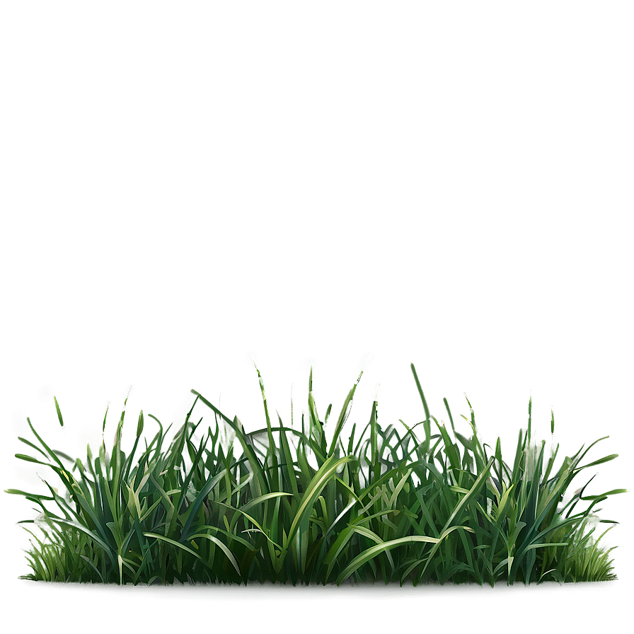 Dark Green Grass Png 06262024