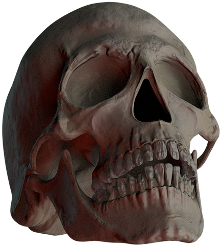 Dark Human Skull3 D Render