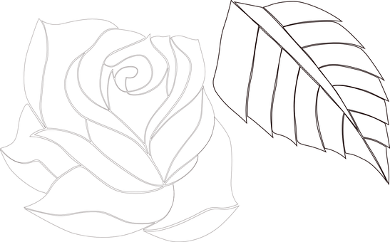 Dark Leaf Outlineon Black Background PNG with transparent background
