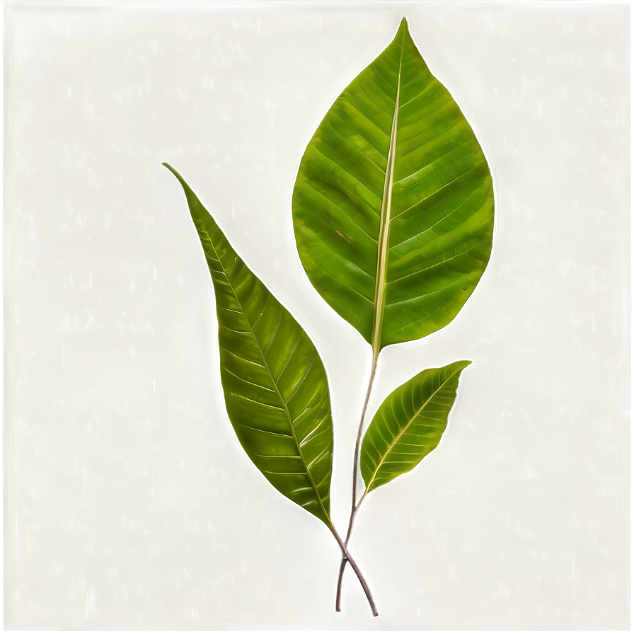 Dark Leaves Png Alk