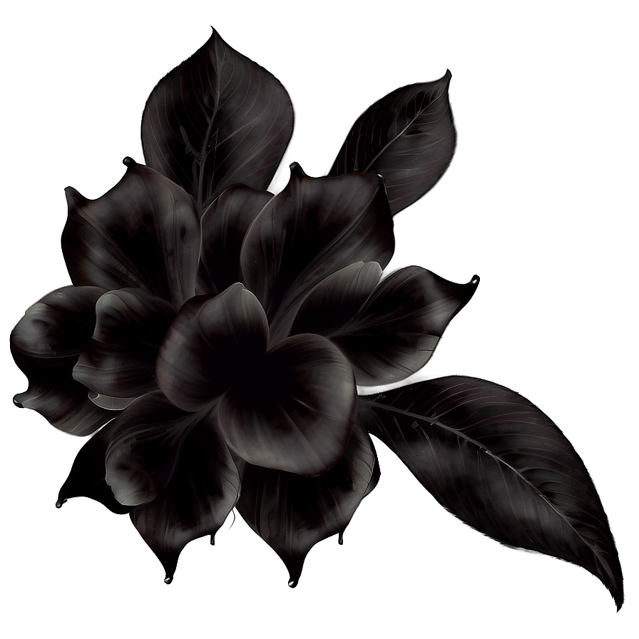 Dark Petals Png Tsf