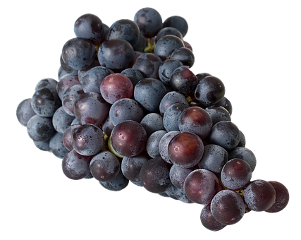 Dark Red Grapes Cluster.jpg PNG with transparent background