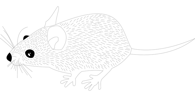 Dark Screenwith Single White Cursor PNG with transparent background