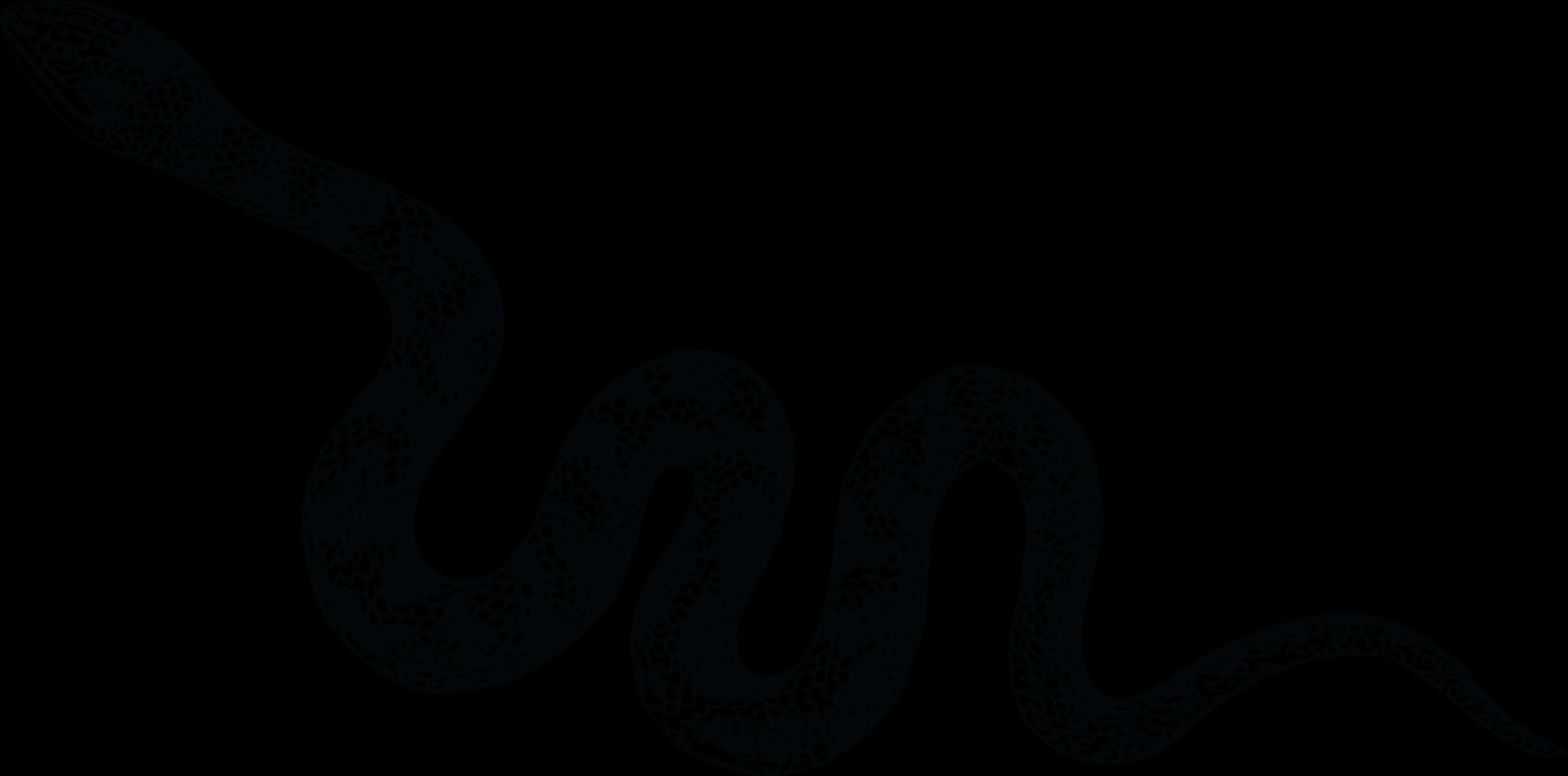 Dark_ Serpentine_ Silhouette.jpg PNG with transparent background