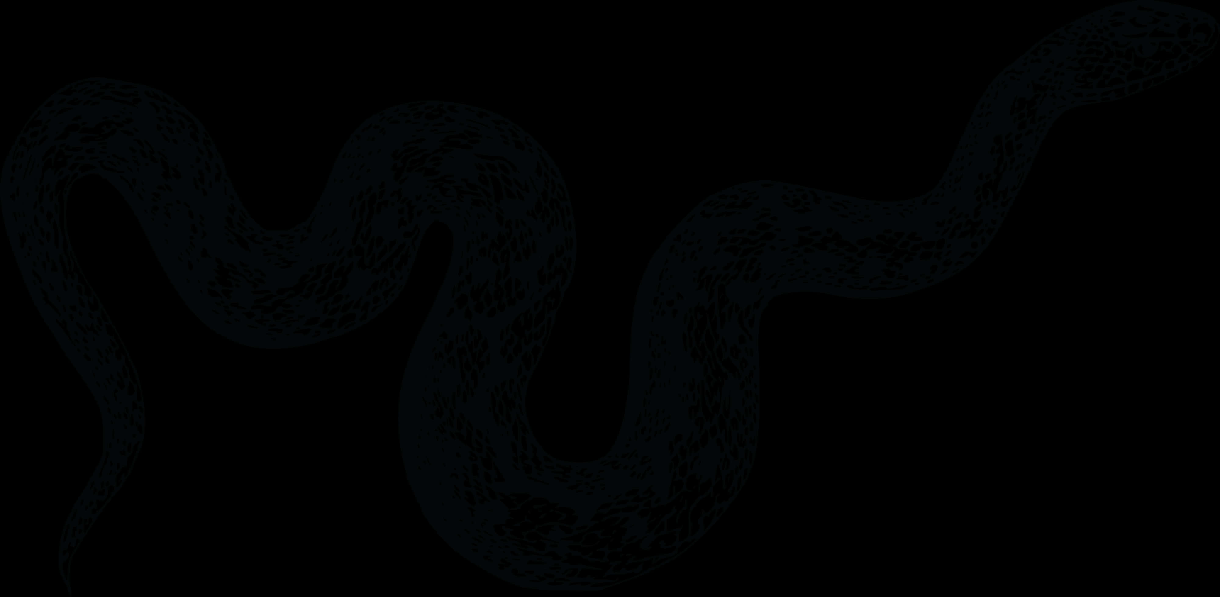 Dark_ Serpentine_ Silhouette PNG with transparent background