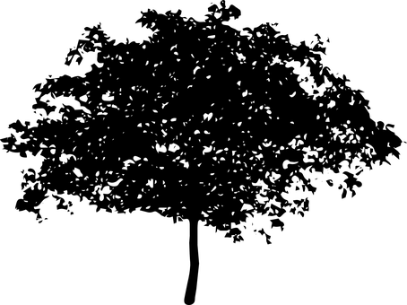 Dark Silhouette Against Sky PNG with transparent background