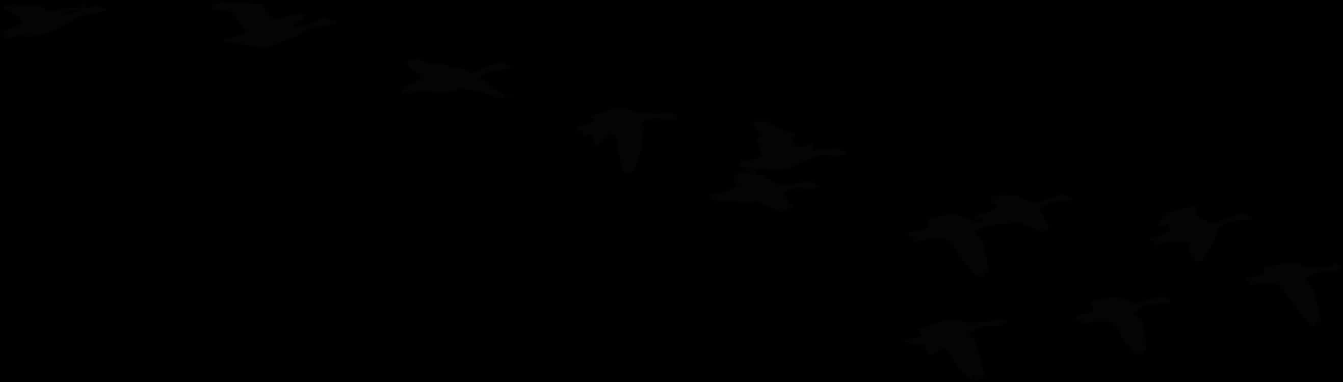 Flock Of Flying Geese Silhouette - Flock Of Geese Silhouette, HD Png Download PNG with transparent background