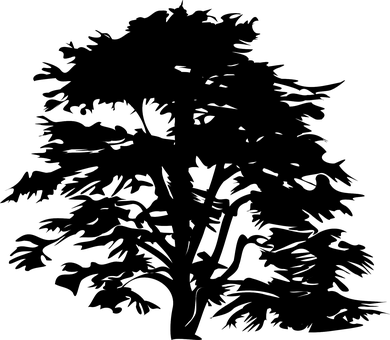 Dark Silhouette Trees Against Sky PNG with transparent background