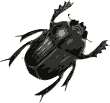 Dark Stylized Beetle Illustration PNG with transparent background
