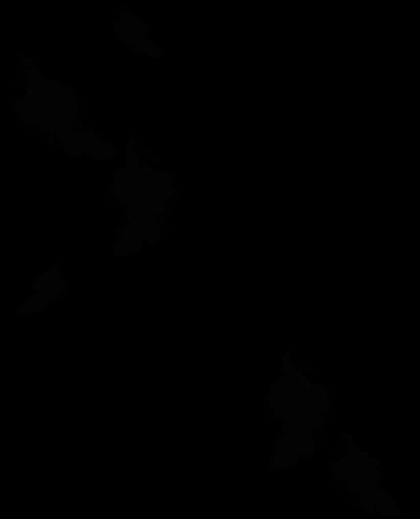 Mq Black Feather Feathers Floating Falling - Black Feathers Falling Png, Transparent Png PNG with transparent background