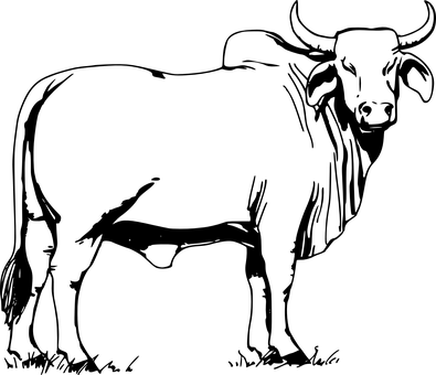 Darkened Imageof Bull PNG with transparent background