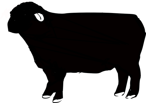 Darkened Silhouetteof Sheep PNG with transparent background