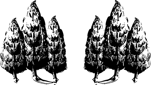 Darkened Silhouetteof Tree Against Sky PNG with transparent background