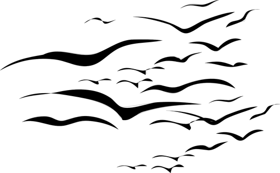 Darkened Sky Blank Canvas PNG with transparent background