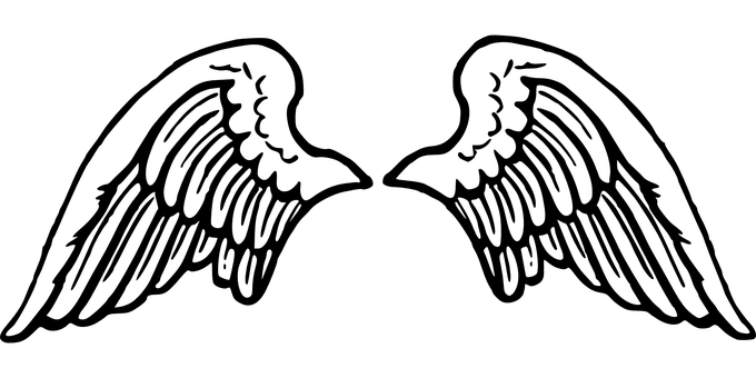 Darkness Enveloped Scene PNG with transparent background