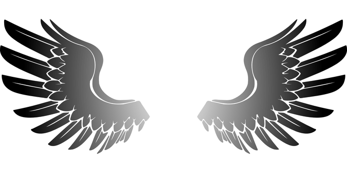 Darkness Enveloped Wings PNG with transparent background