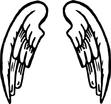 Darkness Enveloped Wings PNG with transparent background