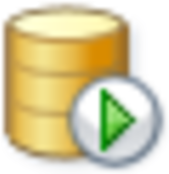 Database Play Button Icon