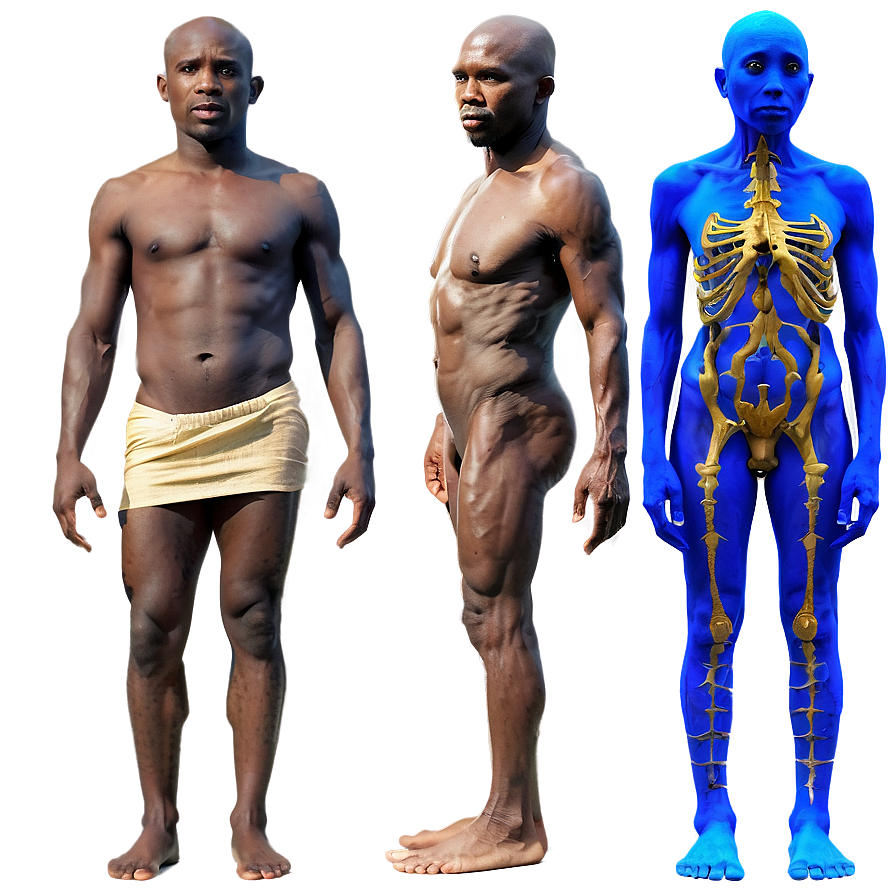 Dawn of Living Beings PNG pwb PNG with transparent background