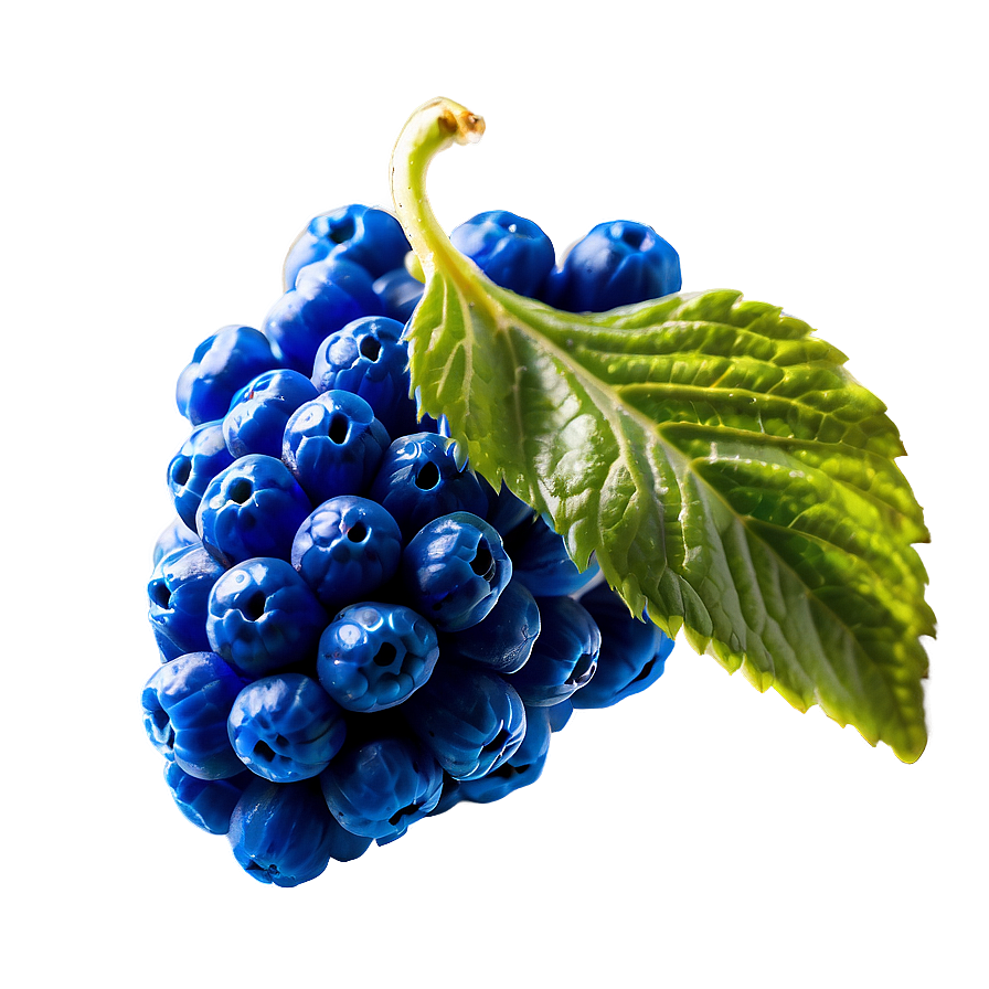 Dazzling Blue Raspberry Png 06212024