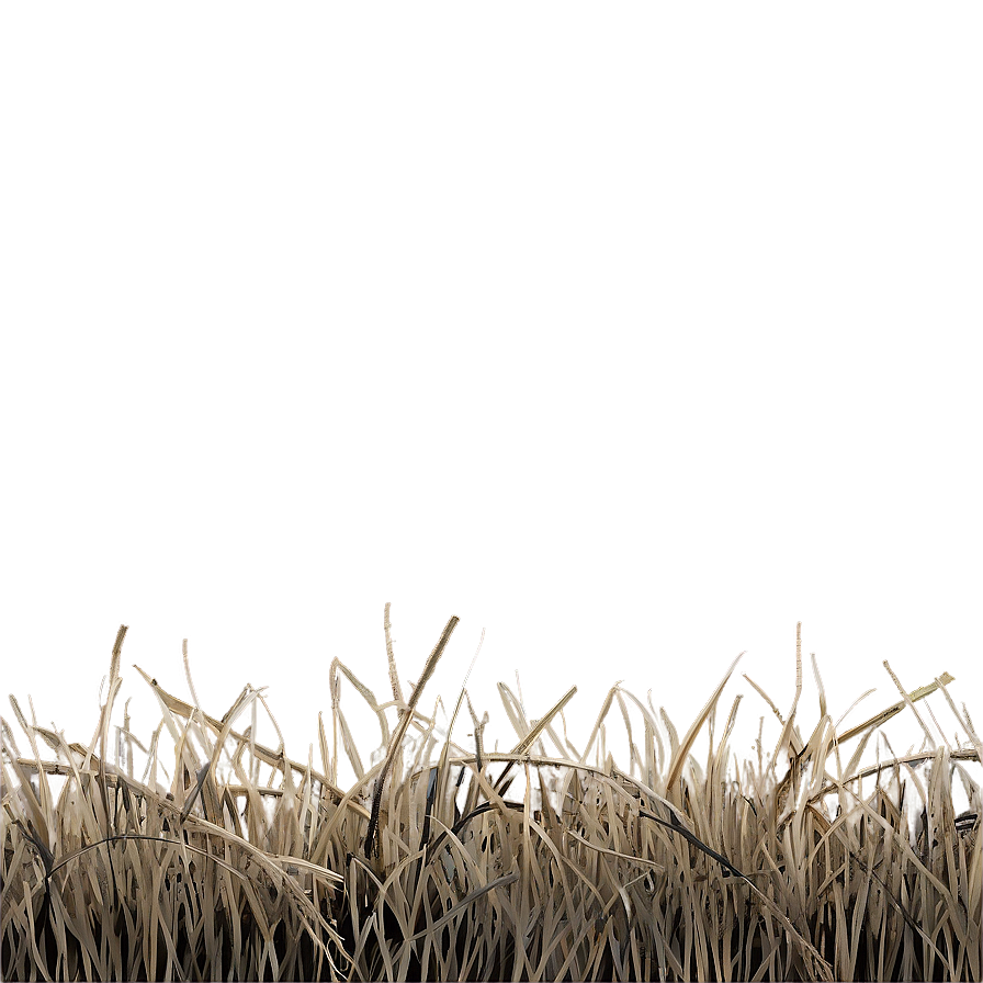 Dead Grass Background Png 06282024