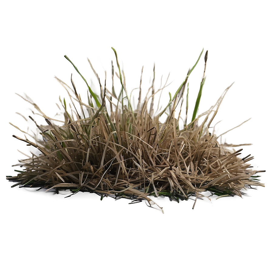 Dead Grass Background Png Bxb38