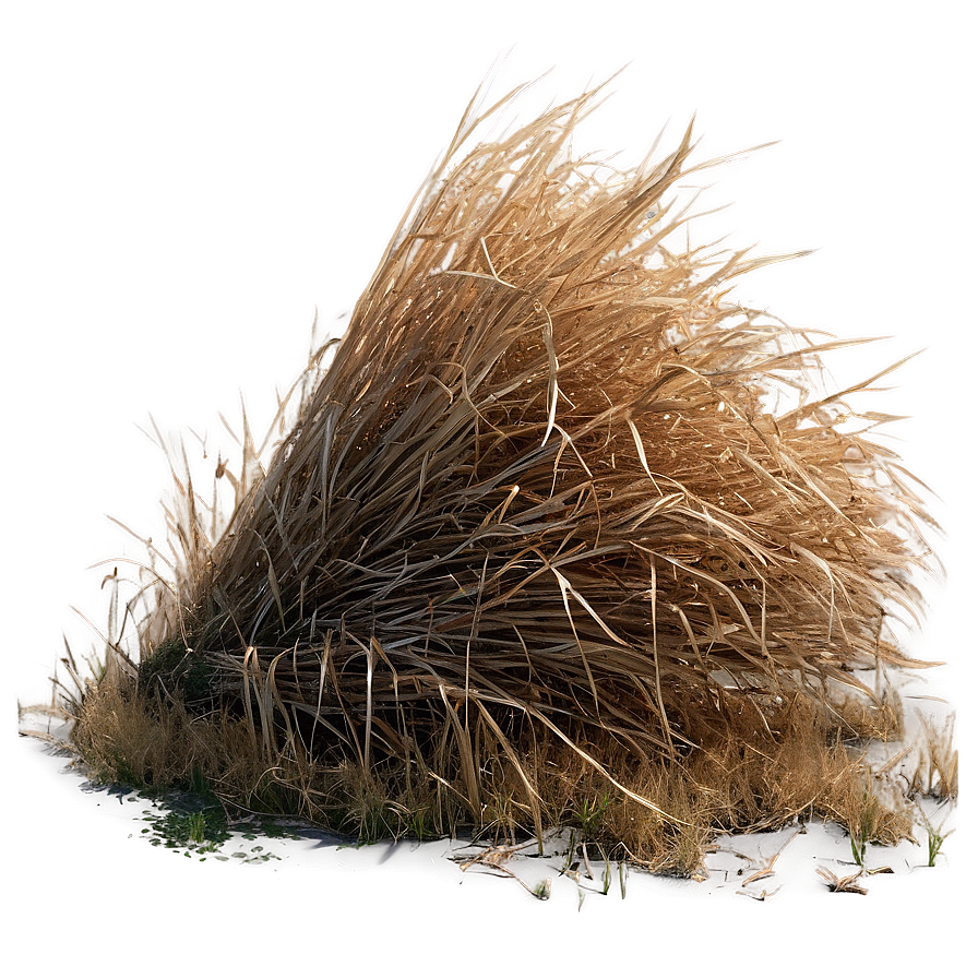 Dead Grass Bundle Png Enl