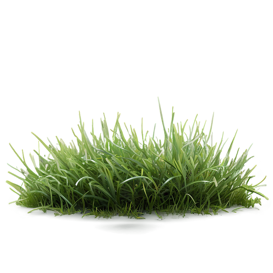 Dead Grass Carpet Png Yjh1