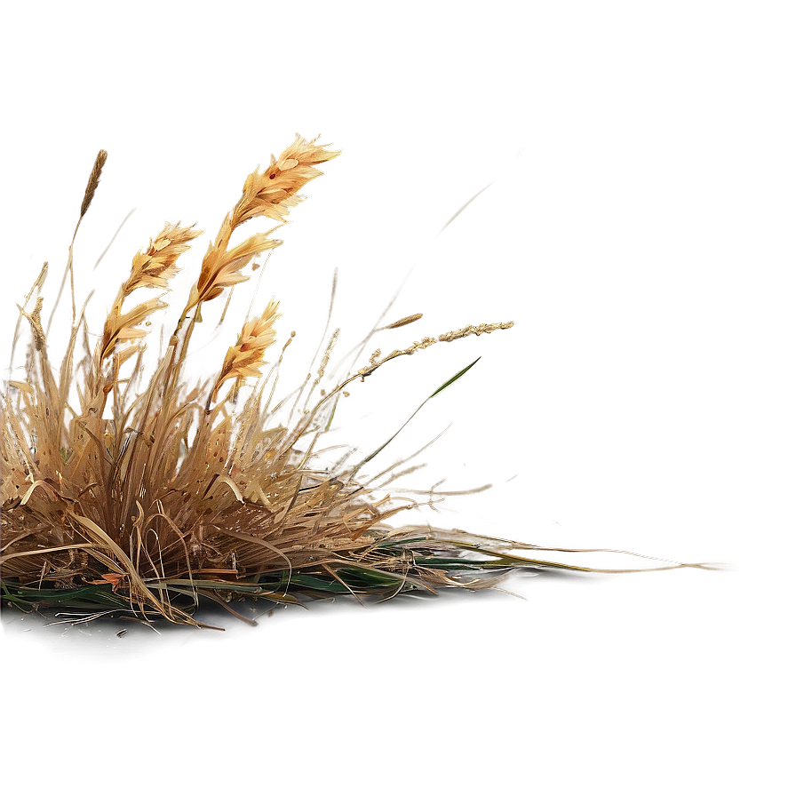 Dead Grass Edge Png 51