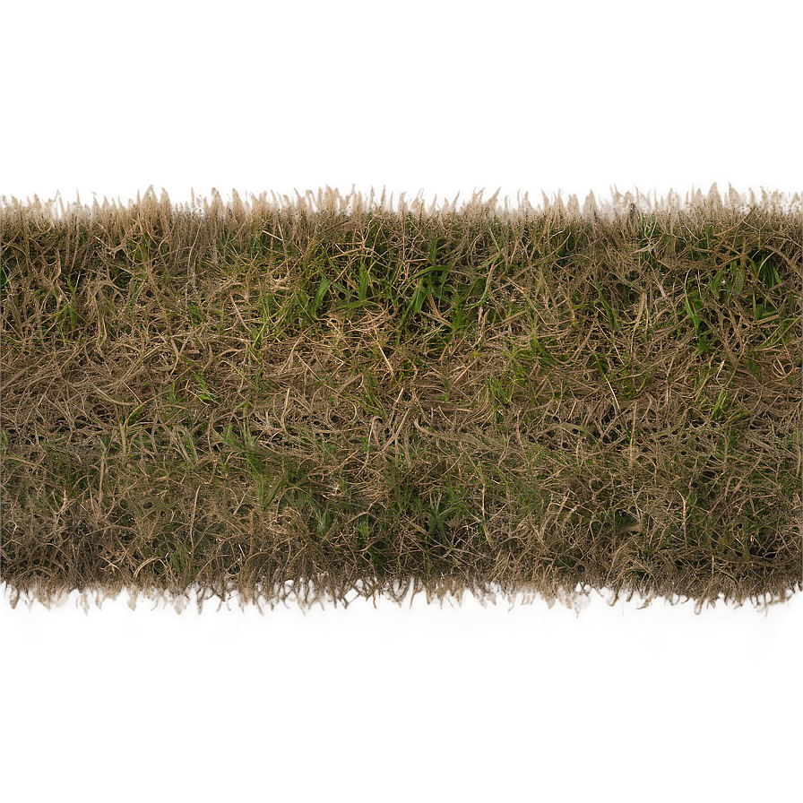 Dead Grass Field Top View Png Rhf41