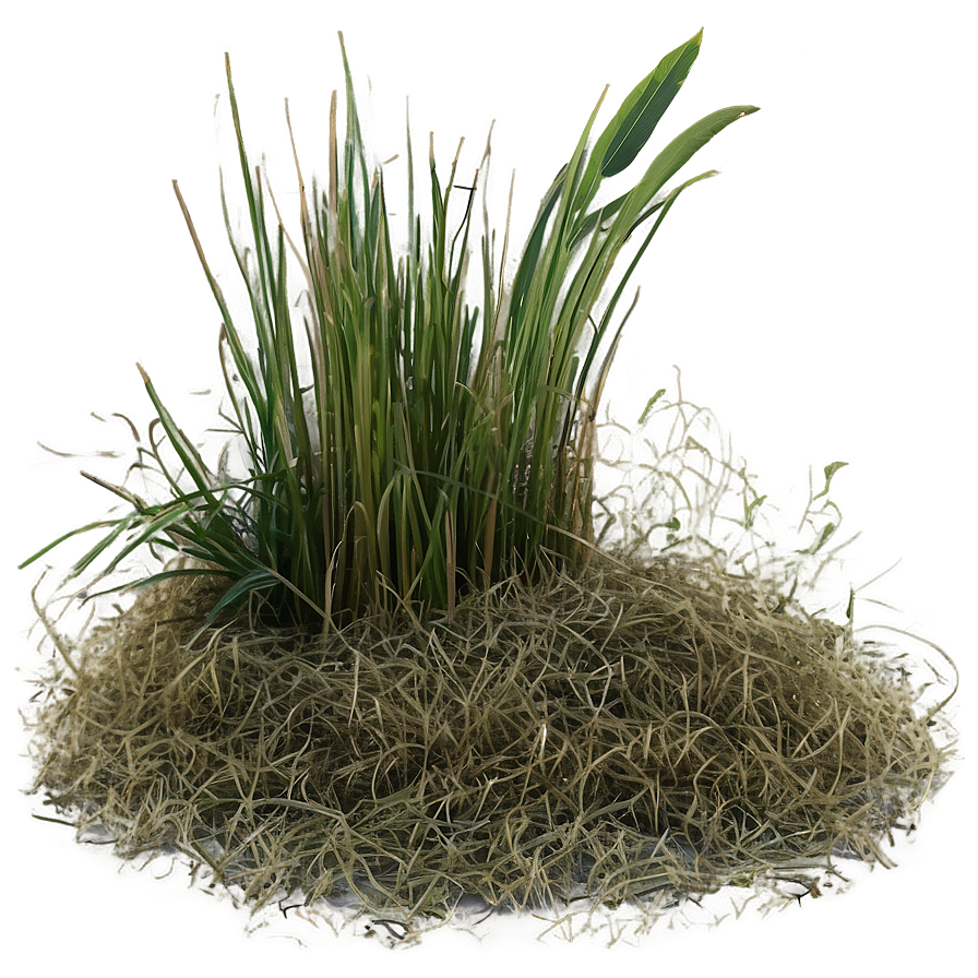 Dead Grass Overlay Png 9