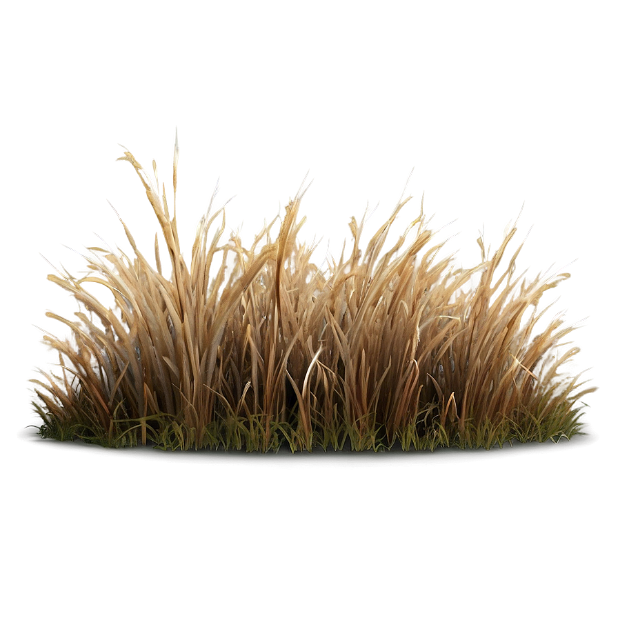 Dead Grass Plain Png 06282024