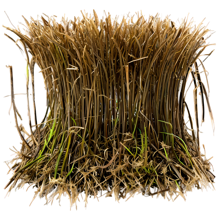 Dead Grass Texture Close-up Png Jtb