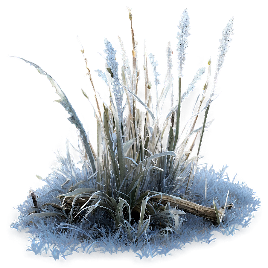 Dead Grass With Frost Png 22