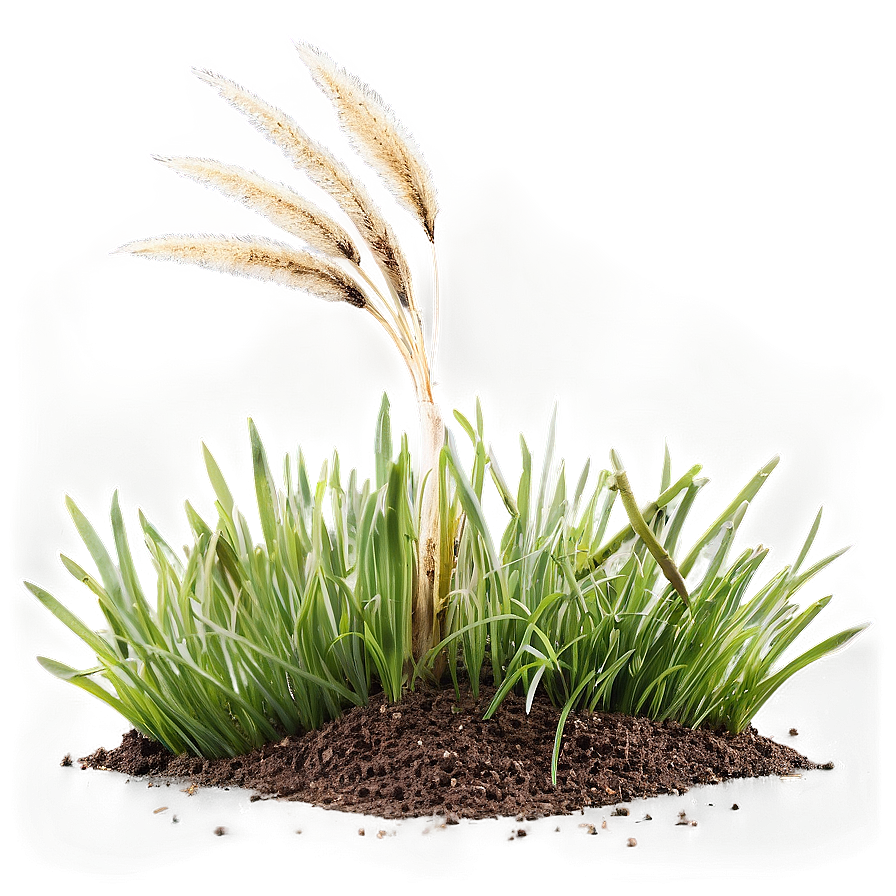 Dead Lawn Grass Png Rmc