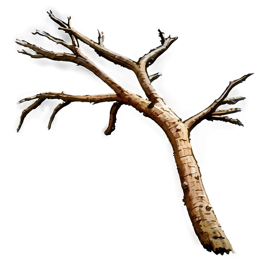 Dead Tree Branch Png Ryj