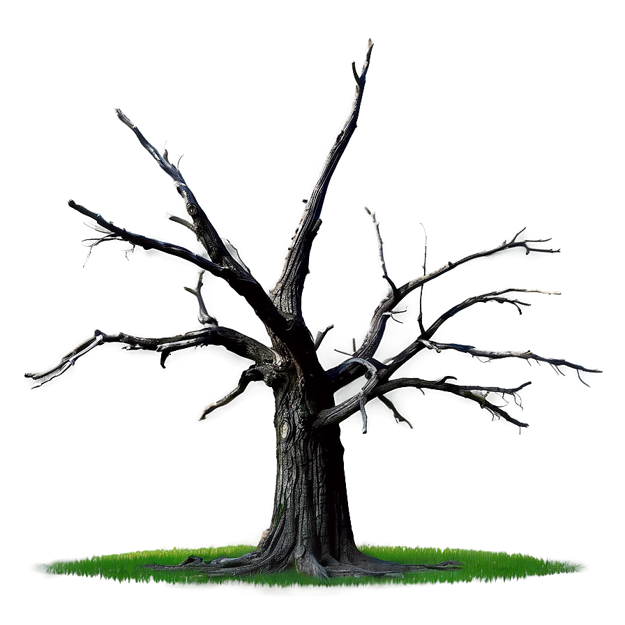 Dead Tree In Field Png Ouq