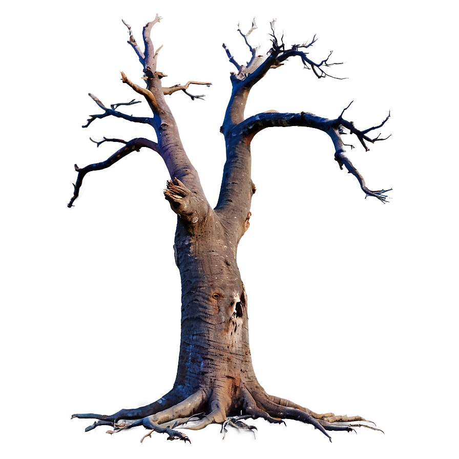 Dead Tree Isolated Png 50