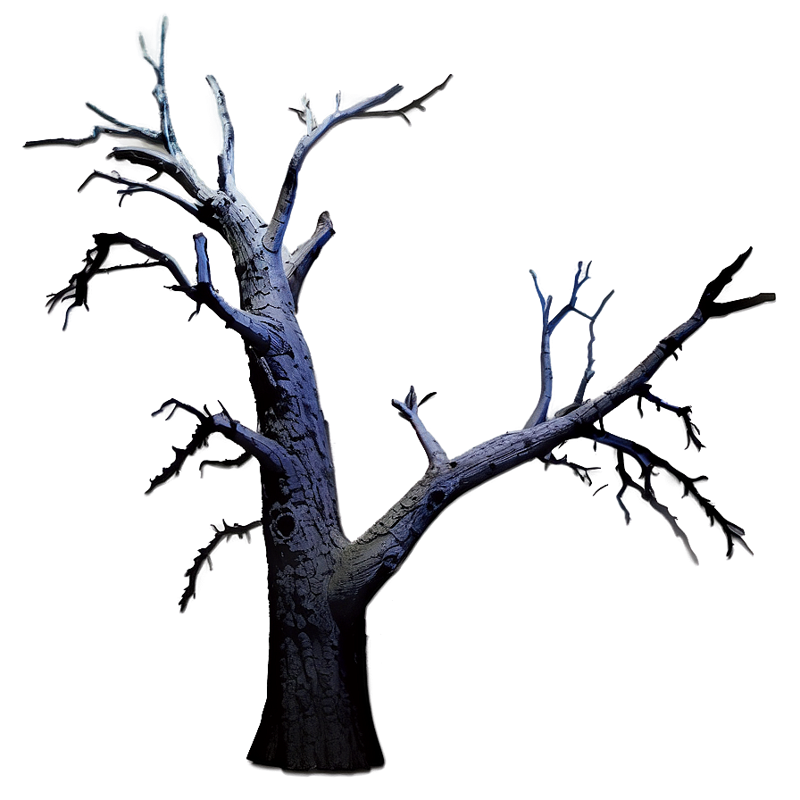 Dead Tree Night Png Hnj