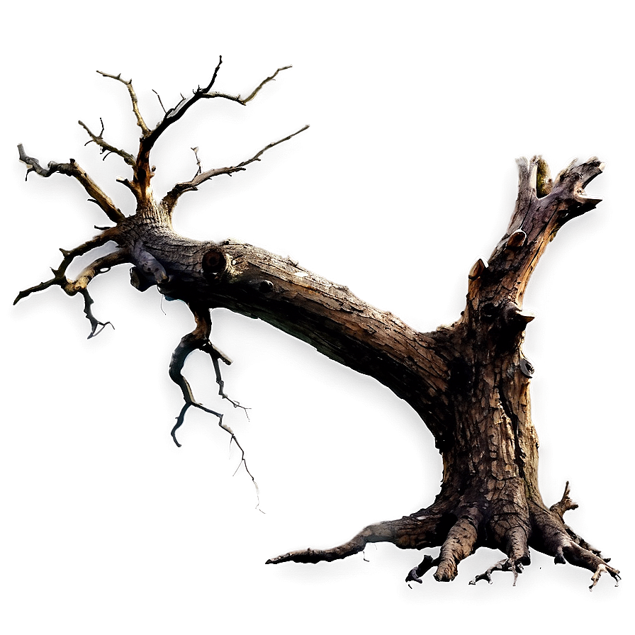 Dead Tree On Dark Background Png Edq