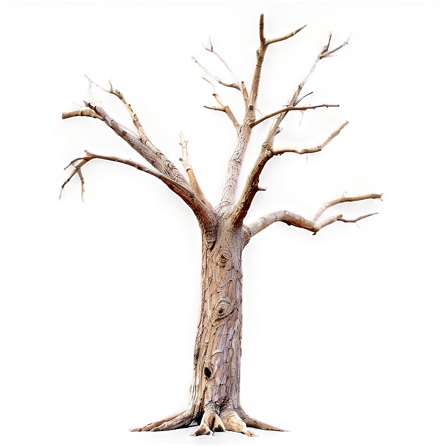 Dead Tree On Dark Background Png Fdk20