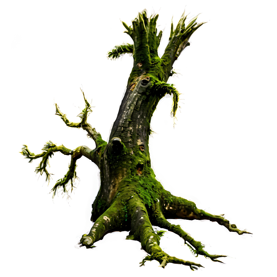 Dead Tree With Moss Png 38