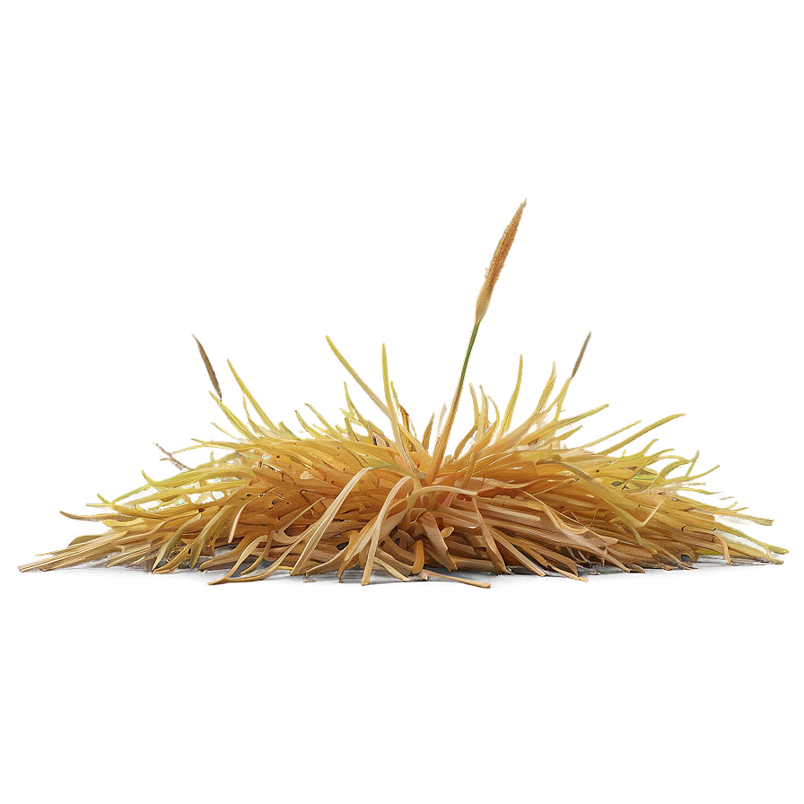 Dead Yellow Grass Png 06282024