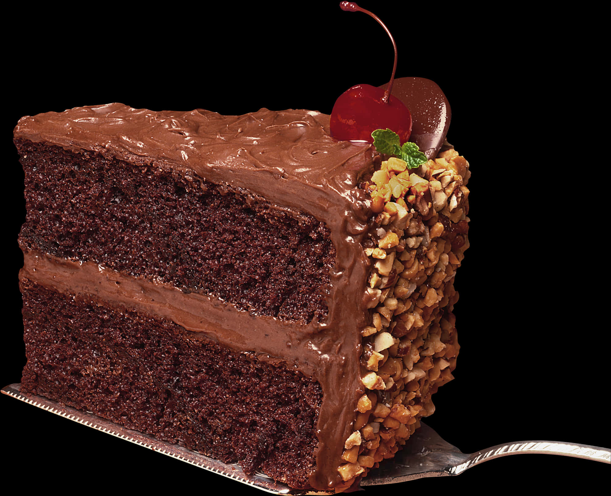 Decadent Chocolate Cake Slice