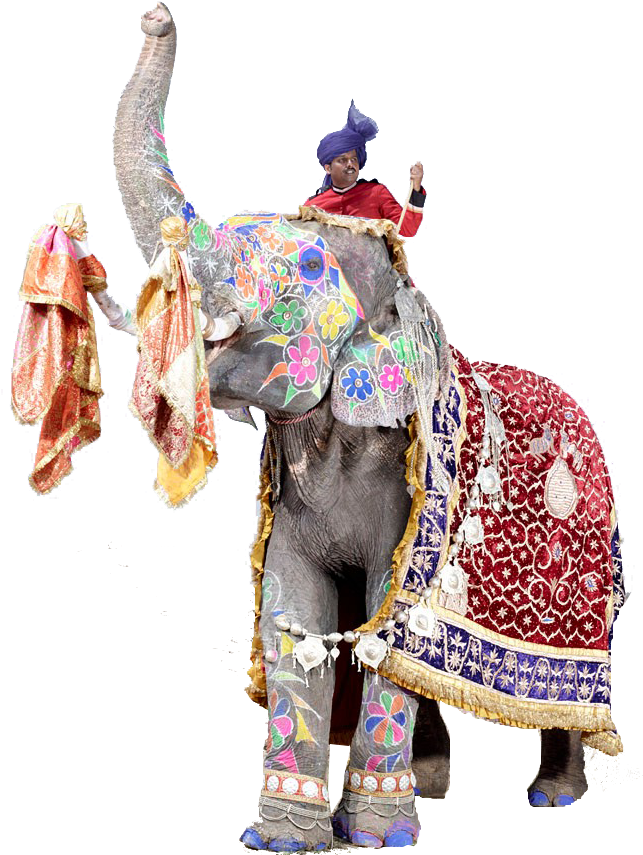 Decorated Festival Elephantand Rider.png