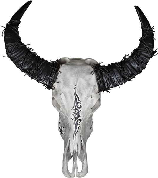 Decorated Goat Skullwith Horns